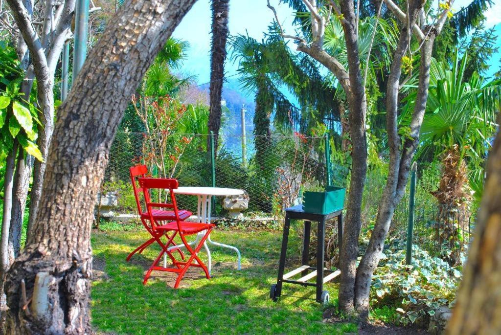 Belvedere - Apartment With Balcony Lake View Sala Comacina Esterno foto